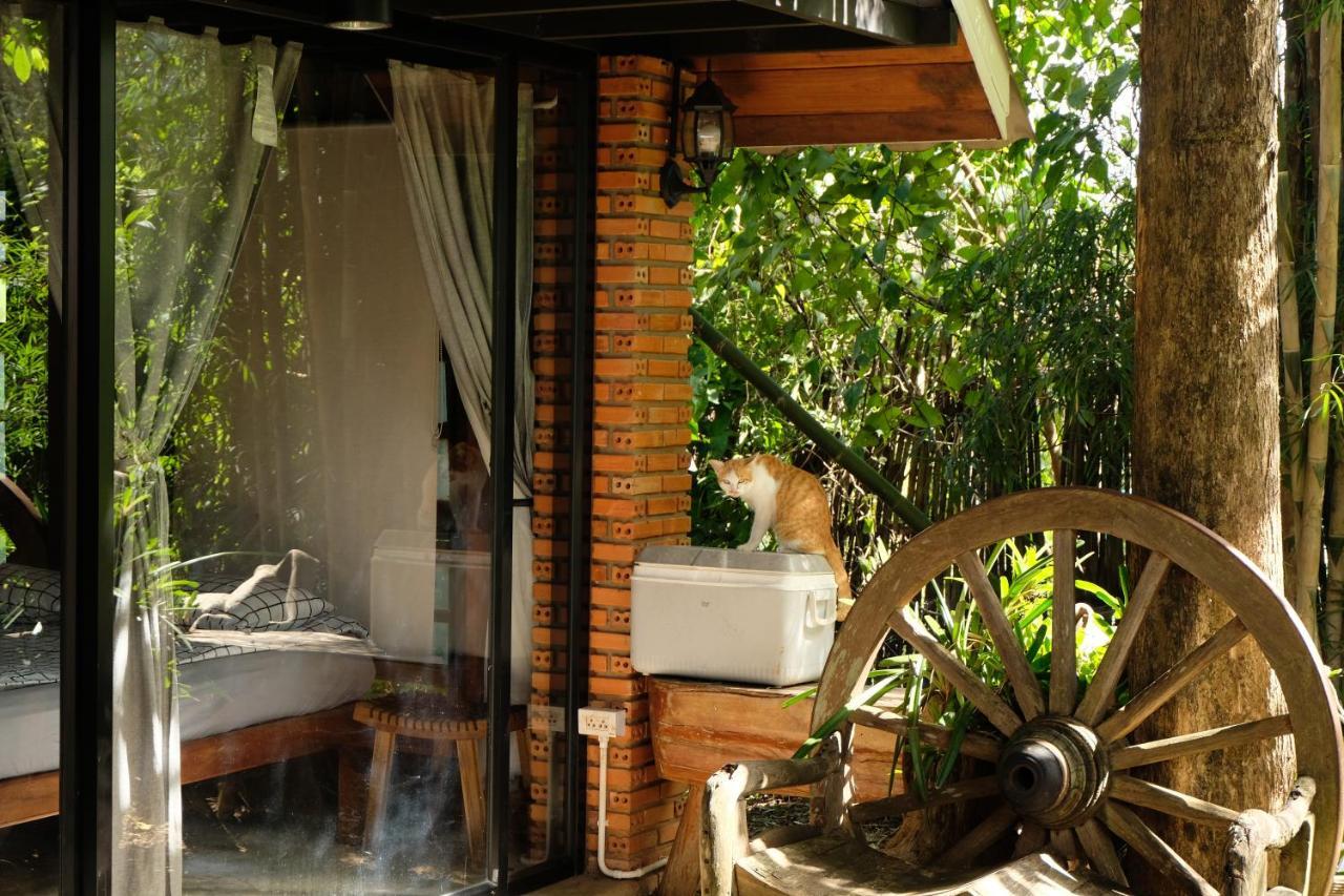 Ashi Guesthouse Chiangdao Chiang Dao Bagian luar foto